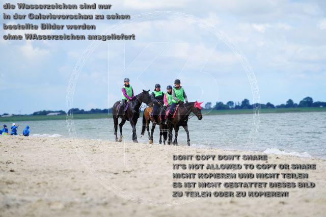 s_K3F05137.JPG